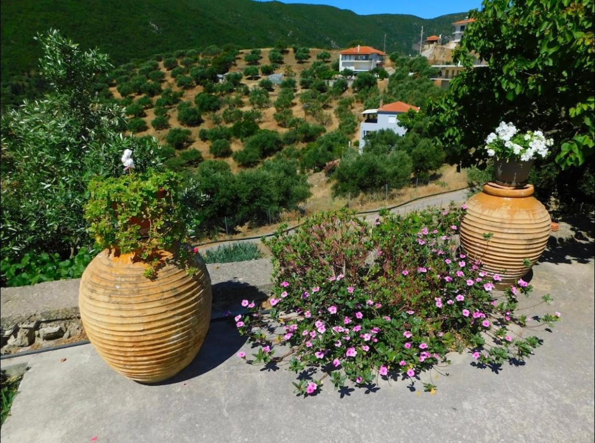 Nirvana Guest House Βασιλίτσι Εξωτερικό φωτογραφία