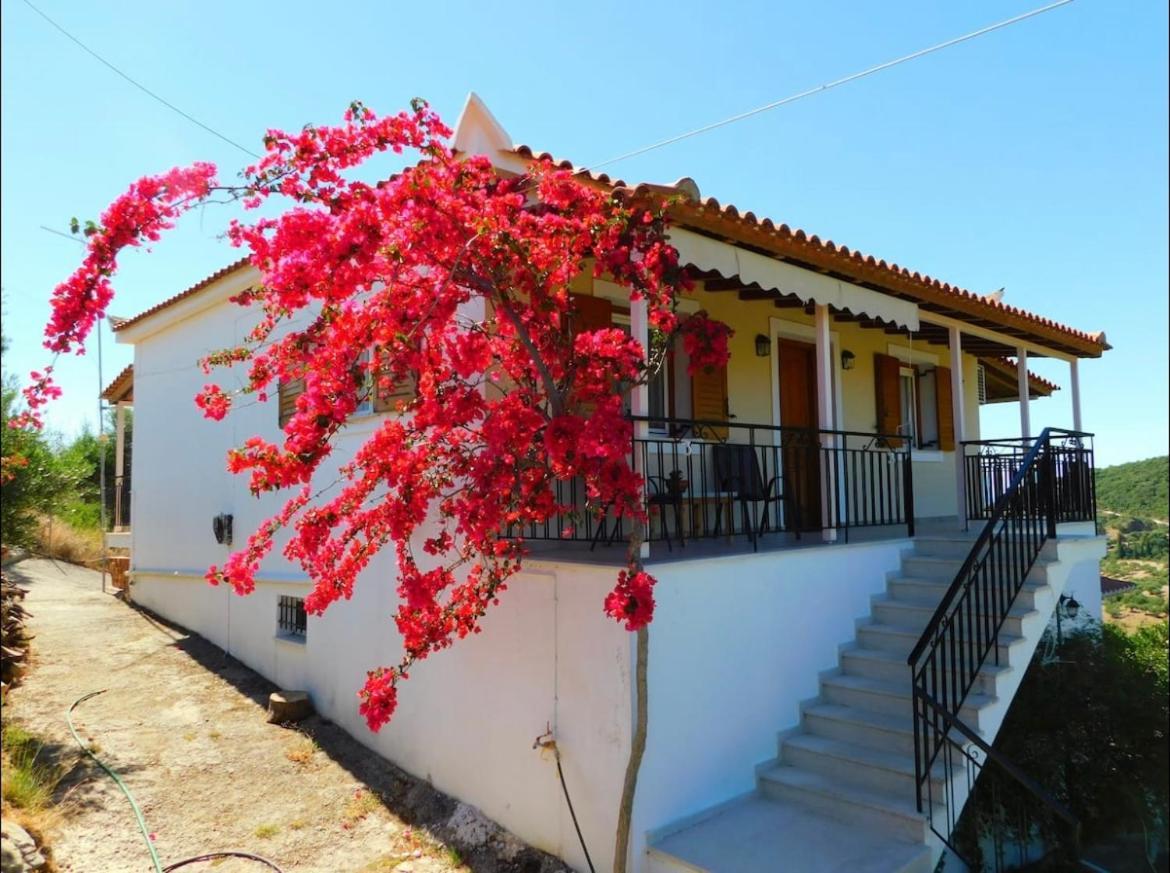 Nirvana Guest House Βασιλίτσι Εξωτερικό φωτογραφία