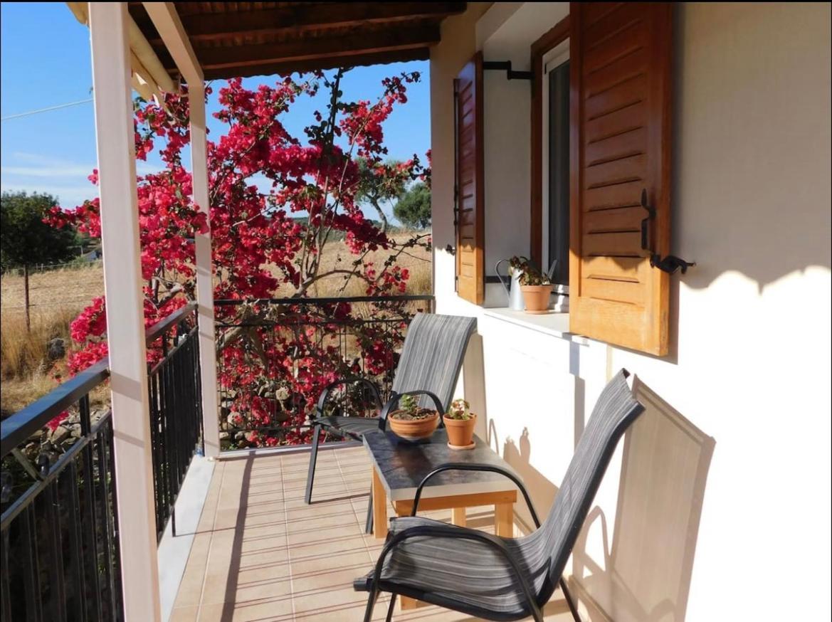 Nirvana Guest House Βασιλίτσι Εξωτερικό φωτογραφία